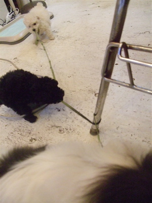 20090119¥°¥¤¥Ã¥°¥¤¡ª2