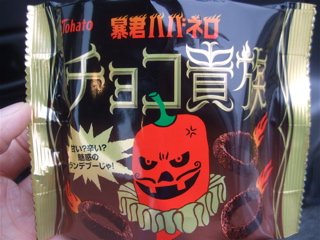 20090130オマケ3