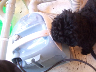 20090208Áݽüµ¡´·¤ì2