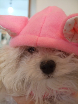 20090212¥ê2
