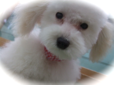 20090212¥ê5