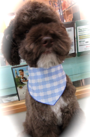 20090212¥×2