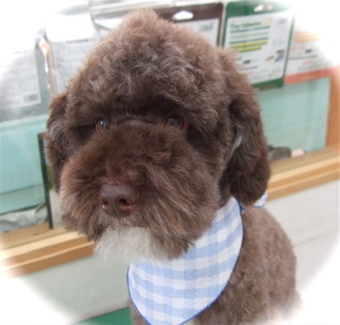 20090212¥×3