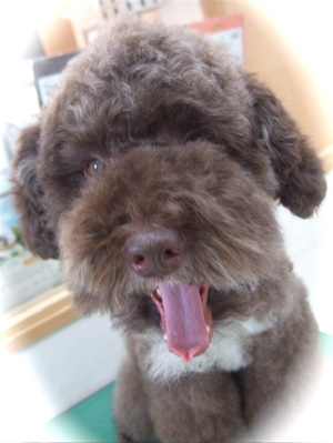 20090212¥×4
