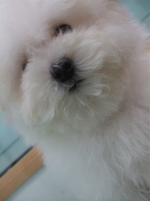 20090214ミ6