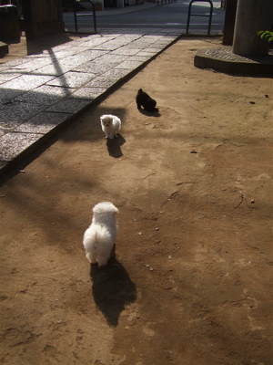 20090214ミ16