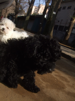 20090214ミ17