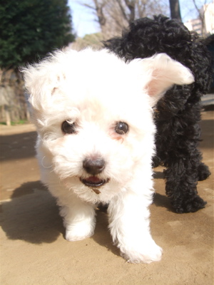 20090214ミ18