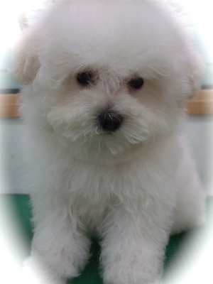 20090214ミ9