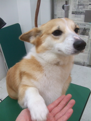 20090215リッ5