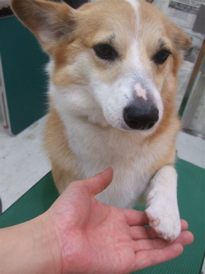 20090215リッ6