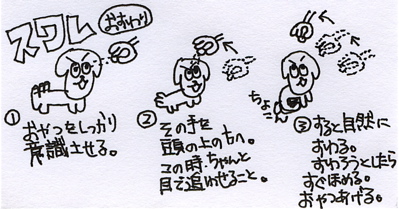 20090215¥¹¥ï¥ì