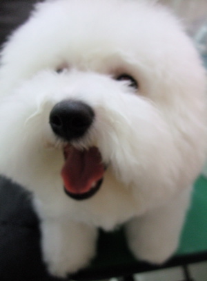 20090224ディ9