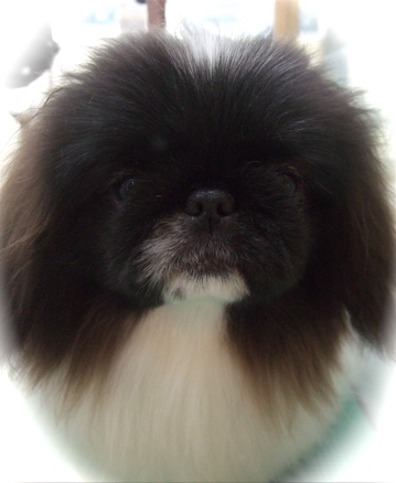 20090126¥·2