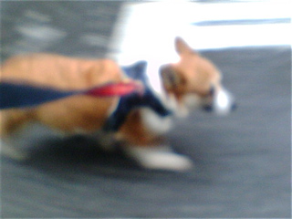 20090306ジ2