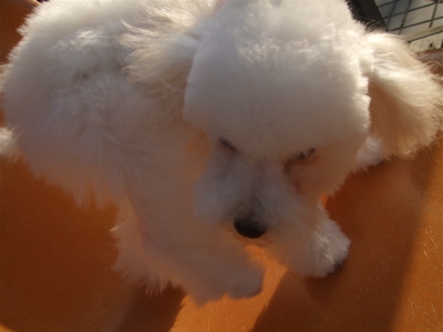20090312¥ê5