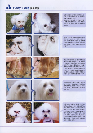 Pet-Cool 5