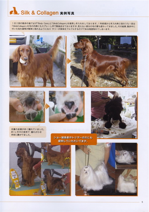 Pet-Cool 7