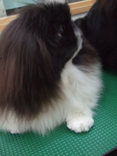 20090317¤·¡õ¤Õ9