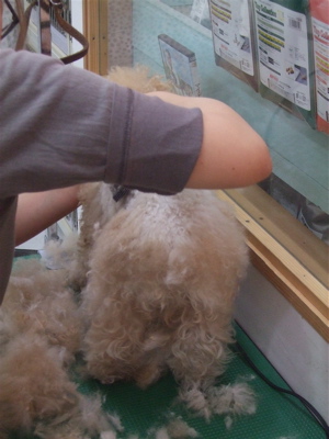 20090319¥ë2