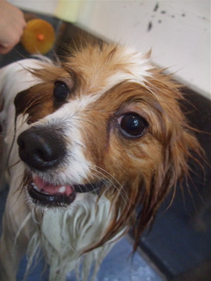 20090319幸2