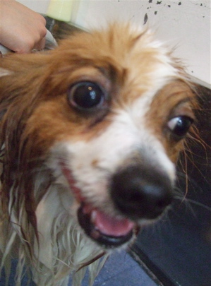 20090319幸3