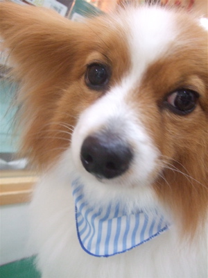 20090319幸4