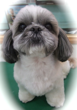 20090325¥¹1