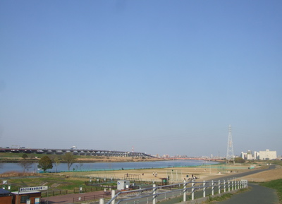 20090330迷い犬くん、荒川の土手へ2