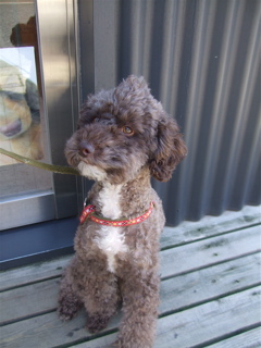 20090402¥×2