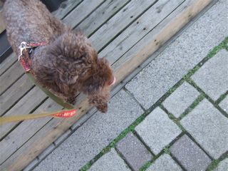 20090402¥×3
