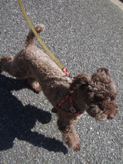 20090402¥×4