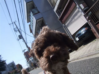 20090402¥×5