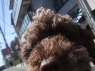 20090402¥×6