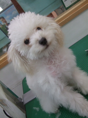 20090402¥ê1