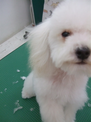 20090402¥ê4