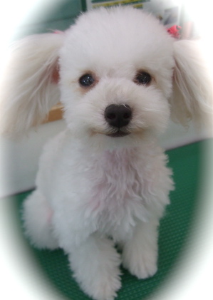 20090402¥ê5