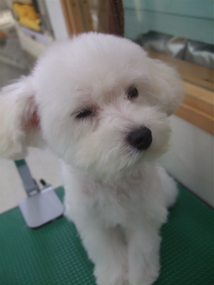 20090325-26¥ß5
