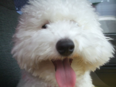 20090417¥Ç¥£2