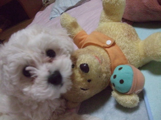 20090507Lets Go!ワクチン!11