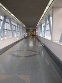 20090511羽田空港6