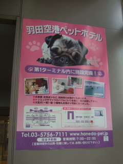 20090511羽田空港8