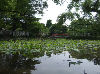 20090518鎌倉4