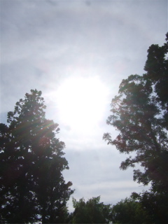 20090518鎌倉6