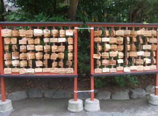 20090518鎌倉11