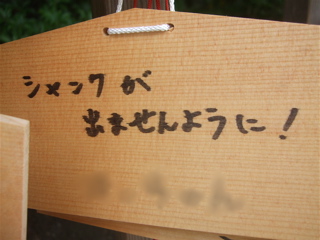 20090518鎌倉15
