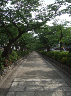 20090518鎌倉16