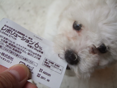 20090521¥Õ¥£¥é¥ê¥¢¡¢¥Î¥ß¡¦¥À¥ËͽËÉ2