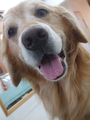 20090524ジ2