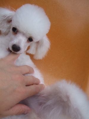 20090530リ12